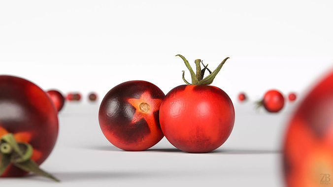 Tomato 3D model 2