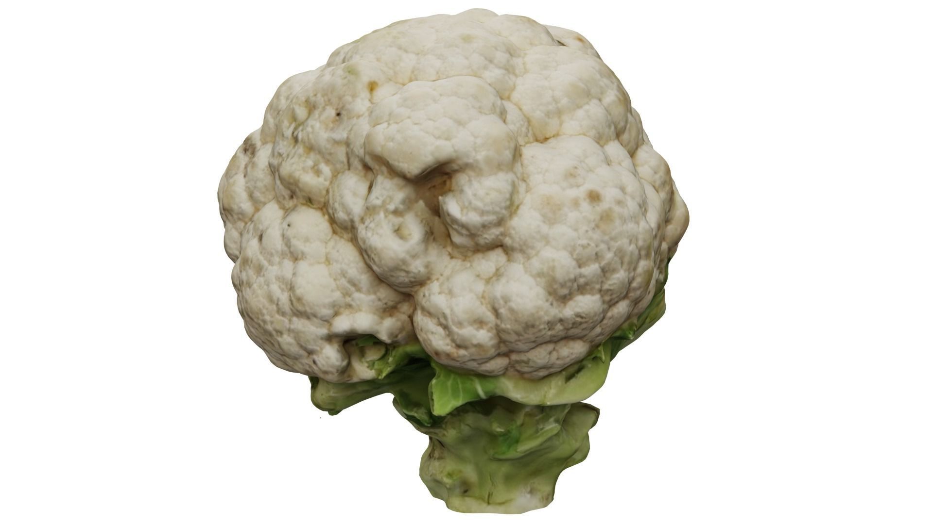 Cauliflower 3D model_1