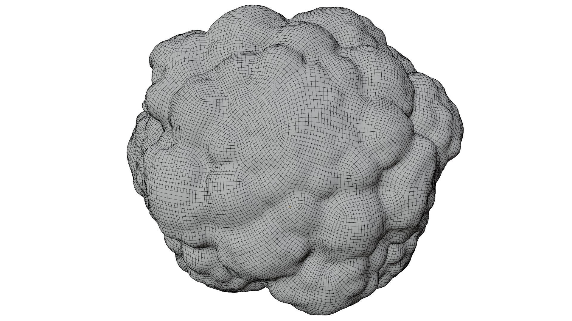 Cauliflower 3D model_14