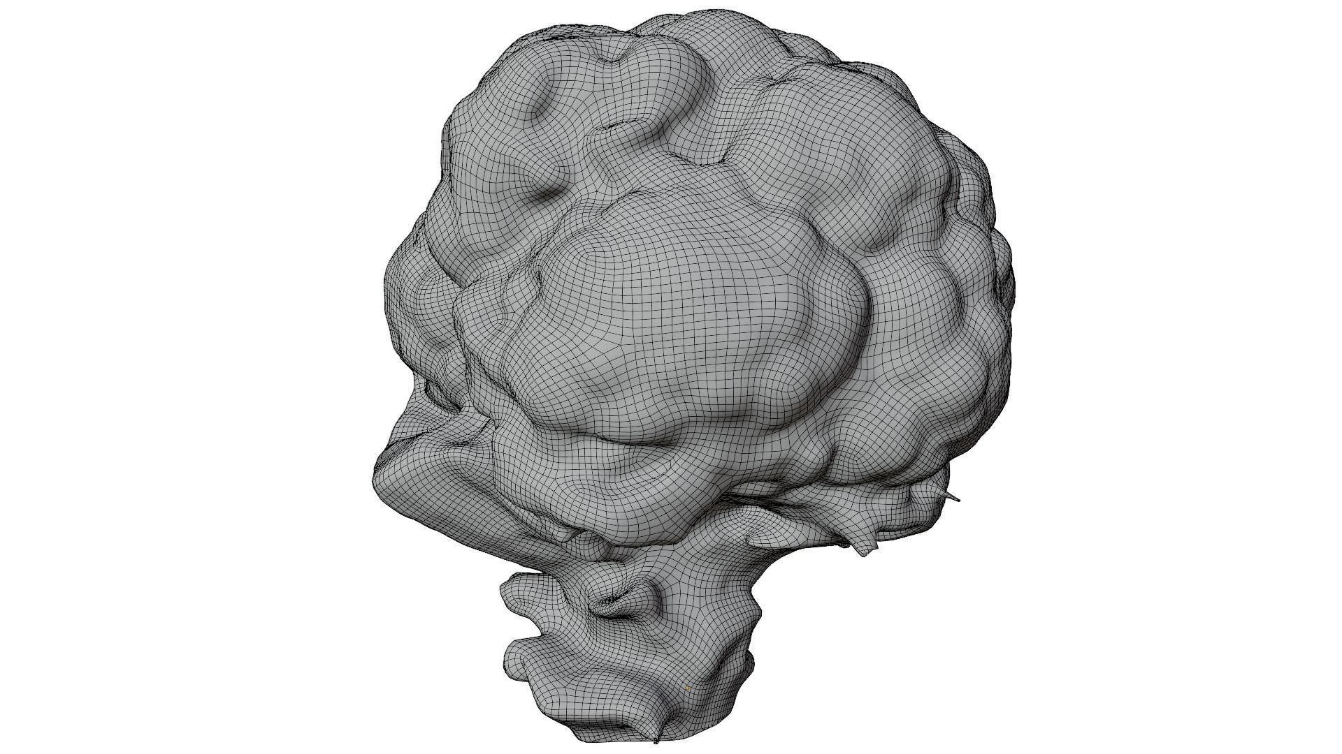 Cauliflower 3D model_12