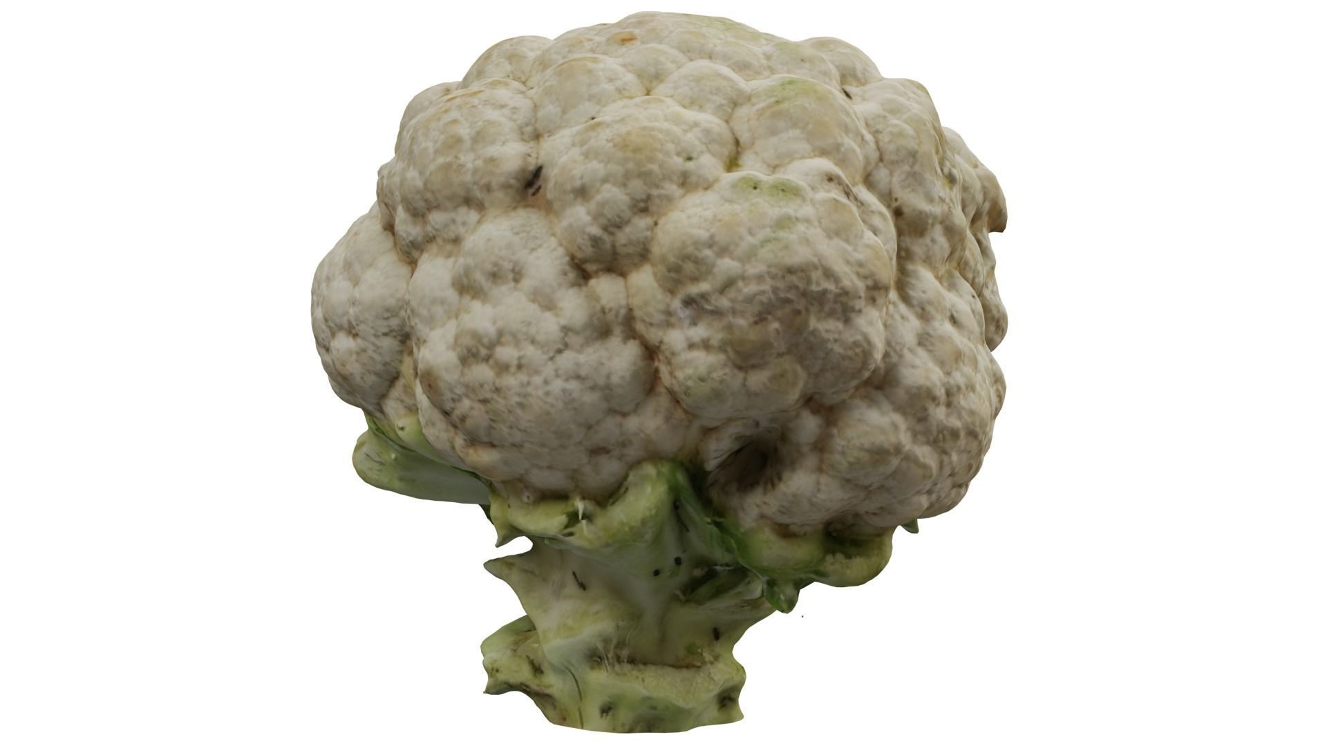 Cauliflower 3D model_5