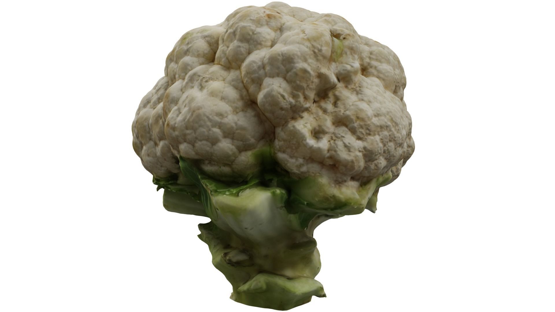 Cauliflower 3D model_3
