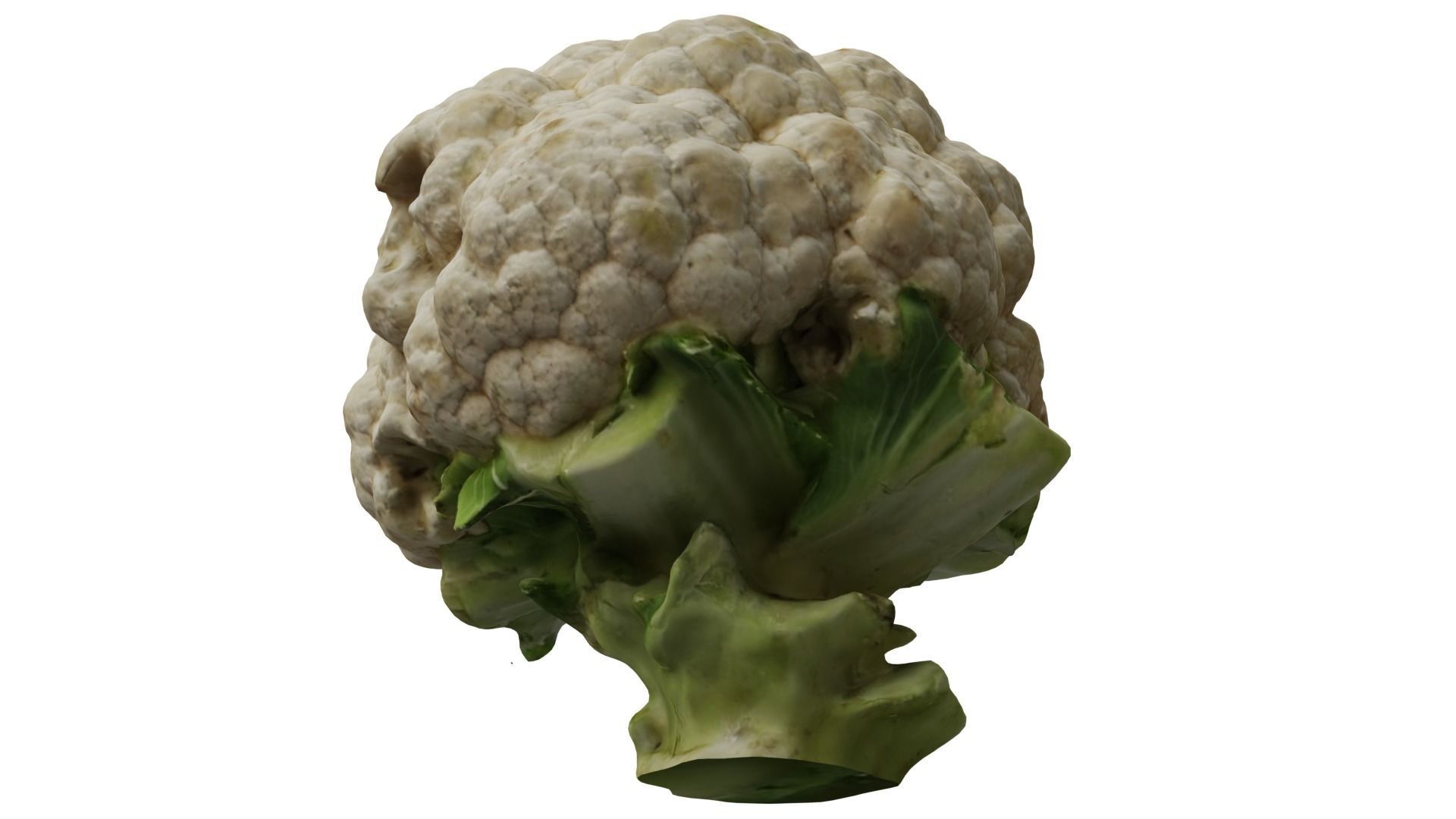 Cauliflower 3D model_7