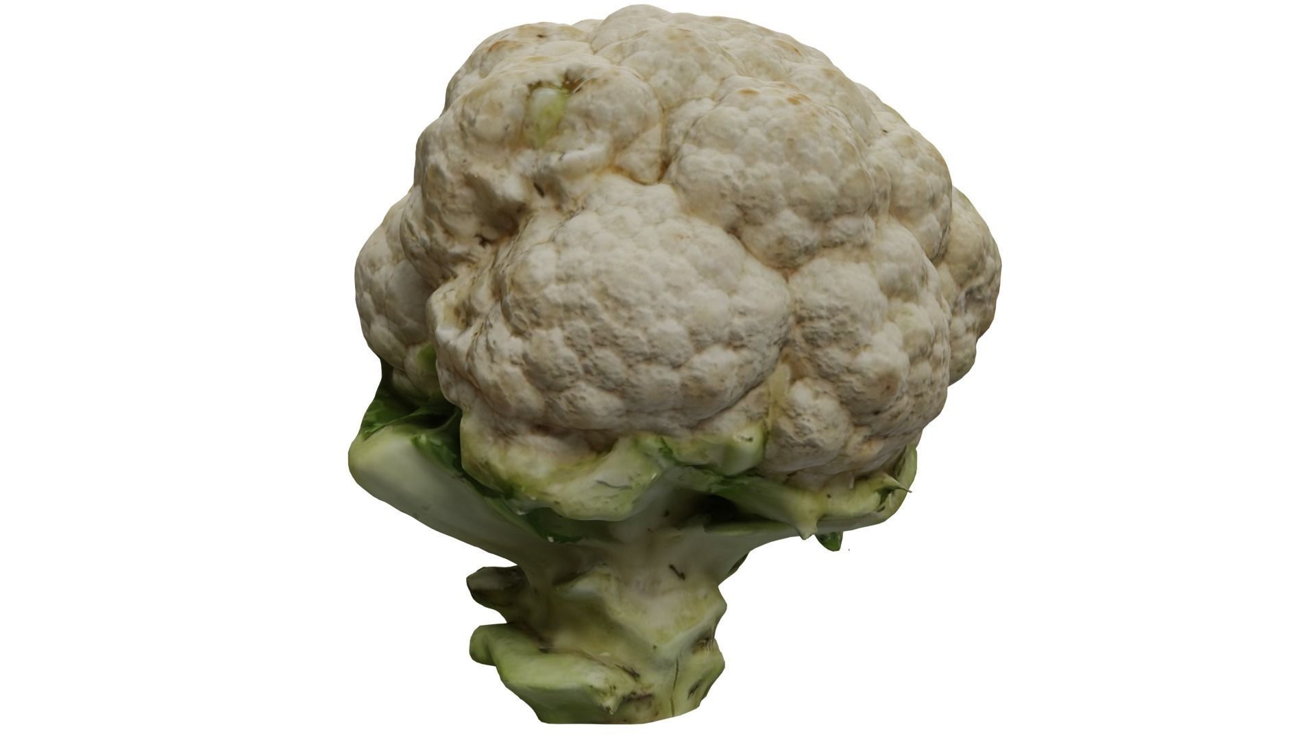 Cauliflower 3D model_4
