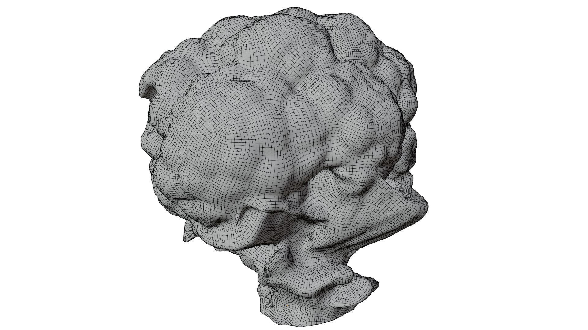 Cauliflower 3D model_10