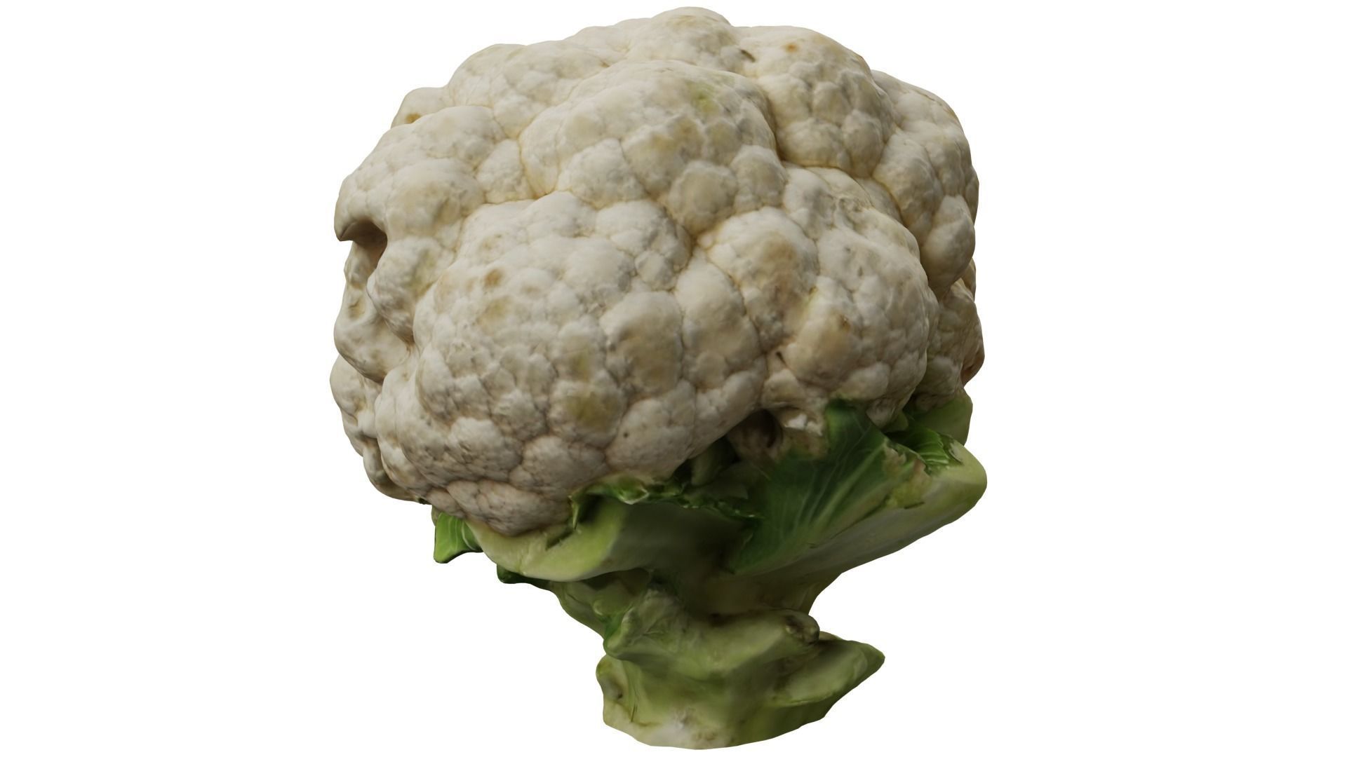 Cauliflower 3D model_2