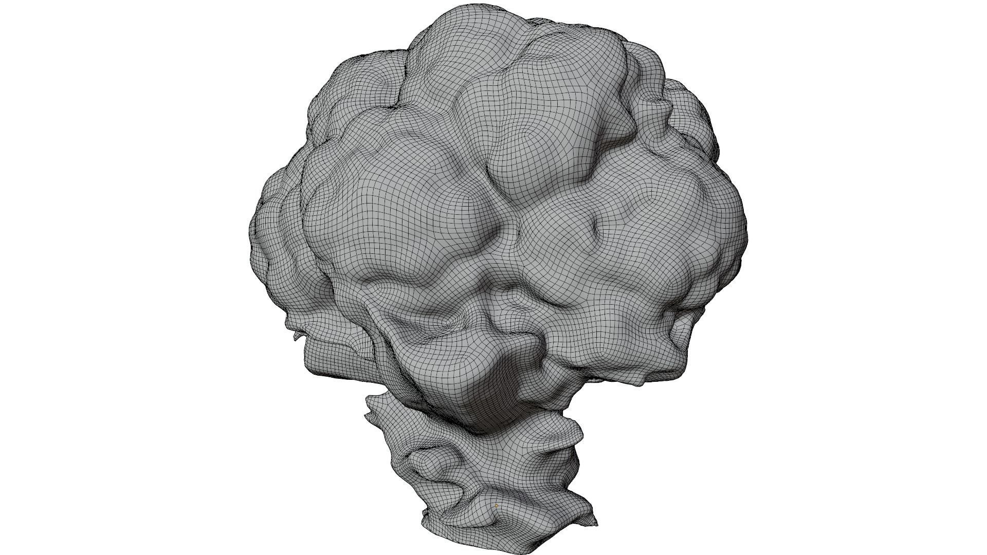 Cauliflower 3D model_11