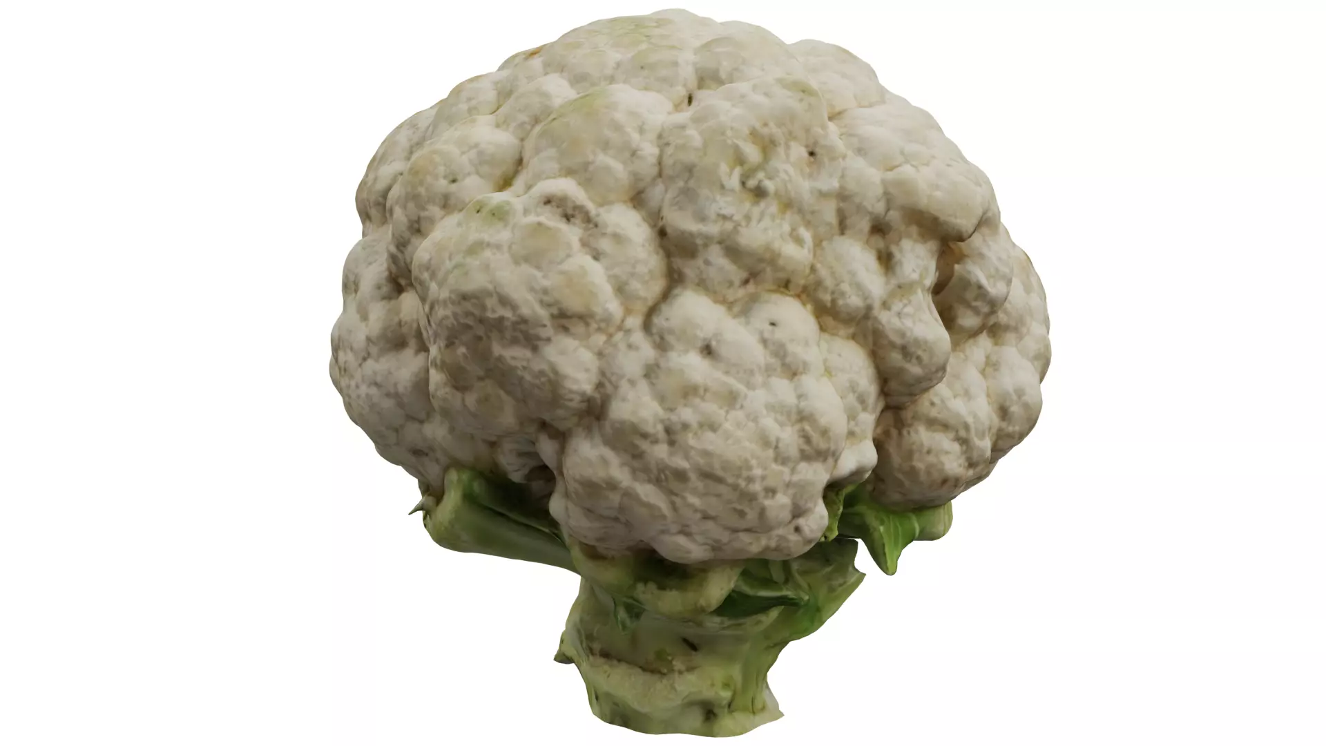 Cauliflower 3D model_0