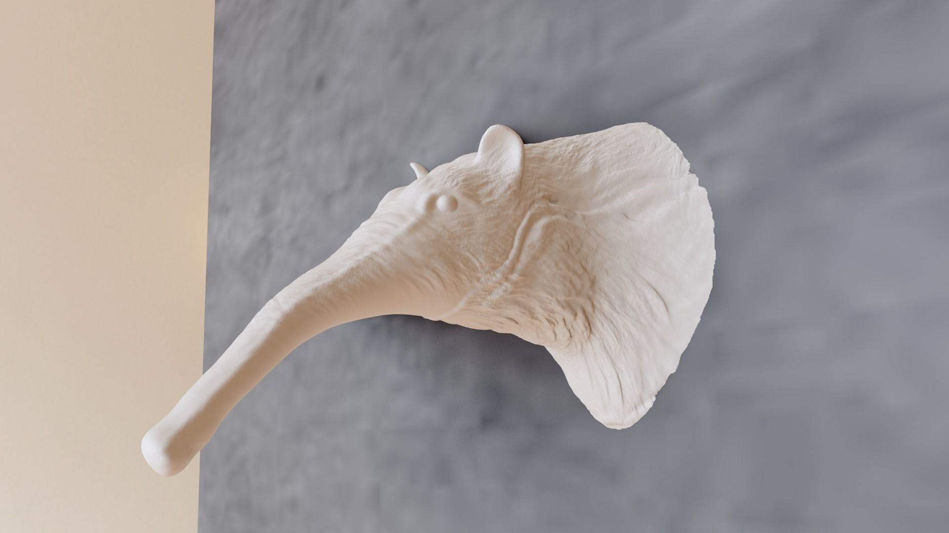 Anteater head wall mount stl decor 3D print model_1