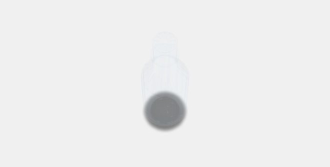 SALLSKAPLIG carafe with stopper 3D model