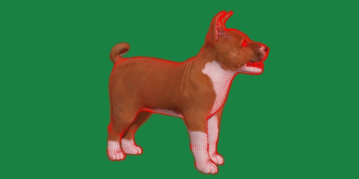 Basenji Puppy Dog Low-poly 3D model_7