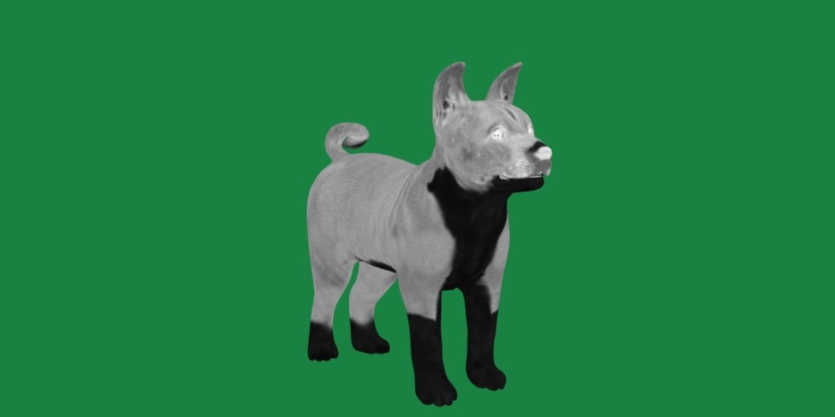 Basenji Puppy Dog Low-poly 3D model_20
