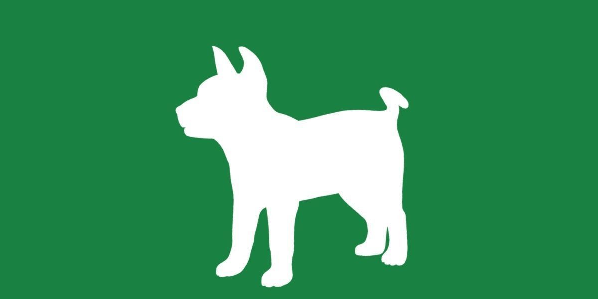 Basenji Puppy Dog Low-poly 3D model_18