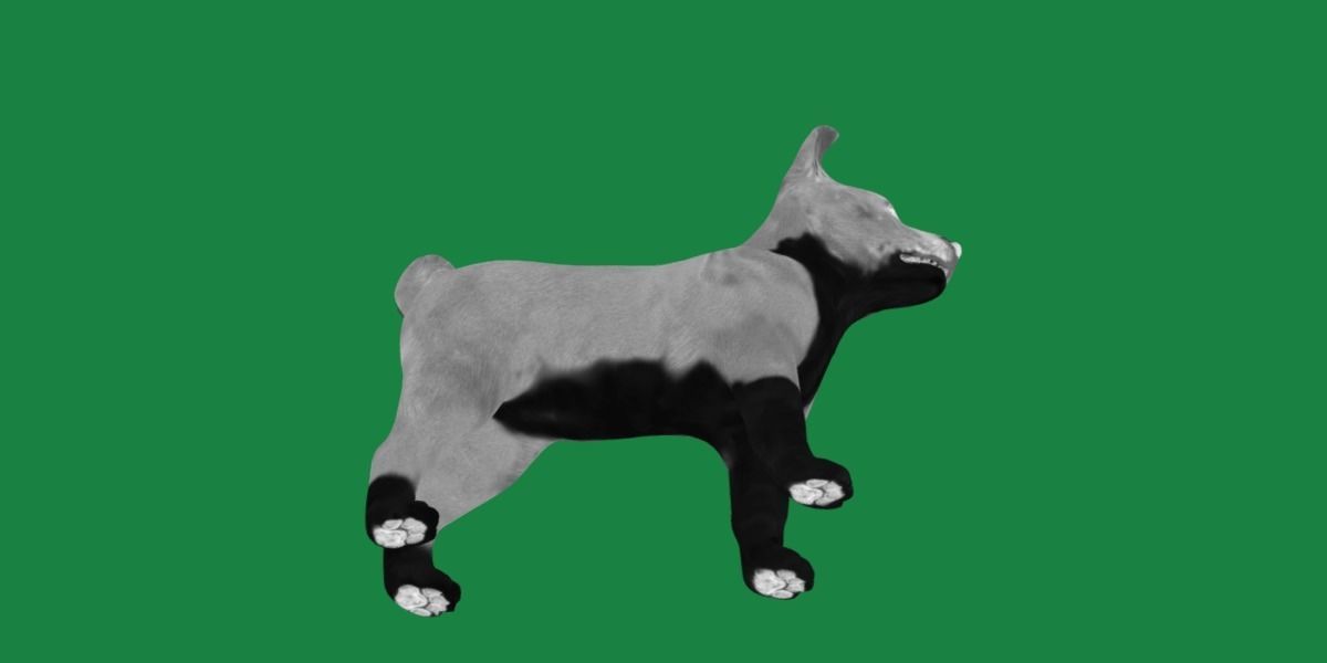 Basenji Puppy Dog Low-poly 3D model_21