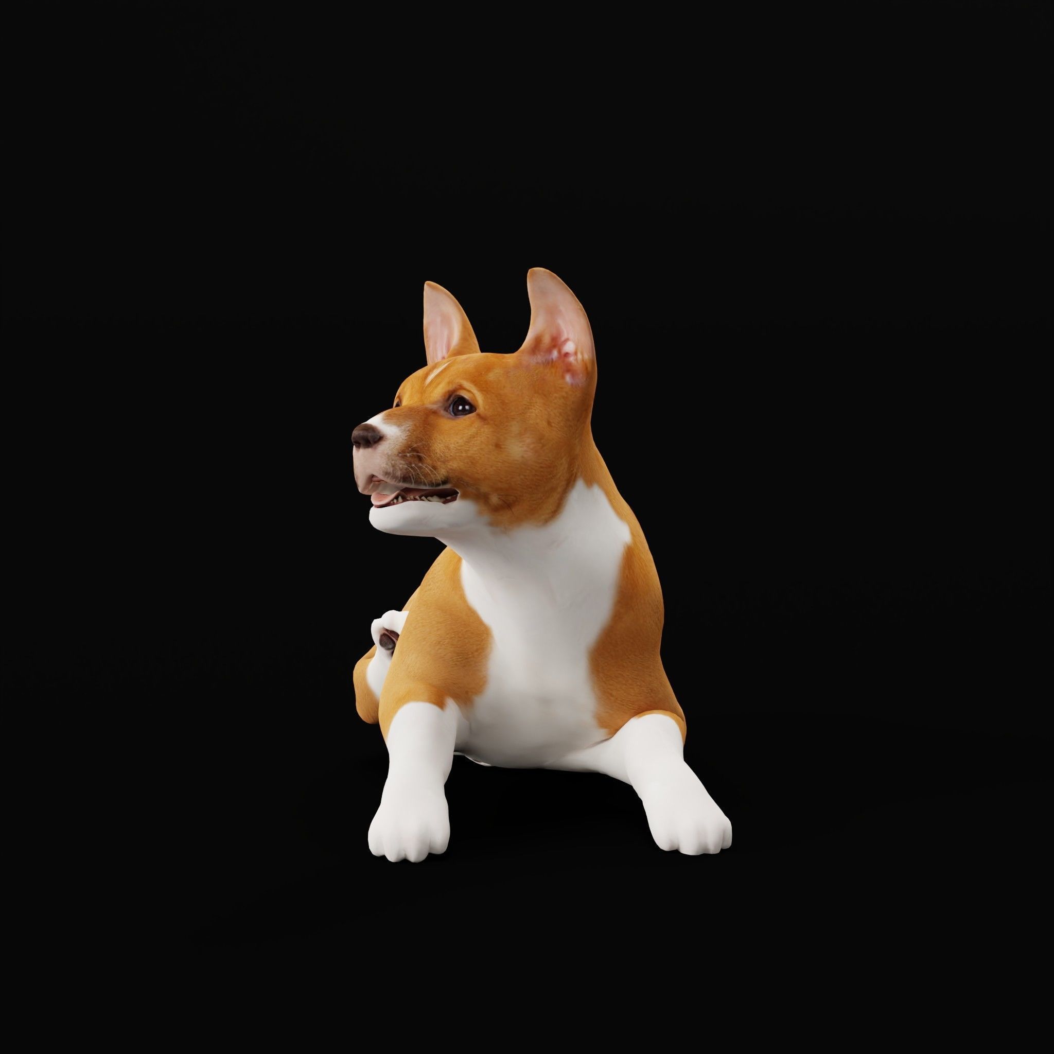 Basenji Puppy Dog Low-poly 3D model_29