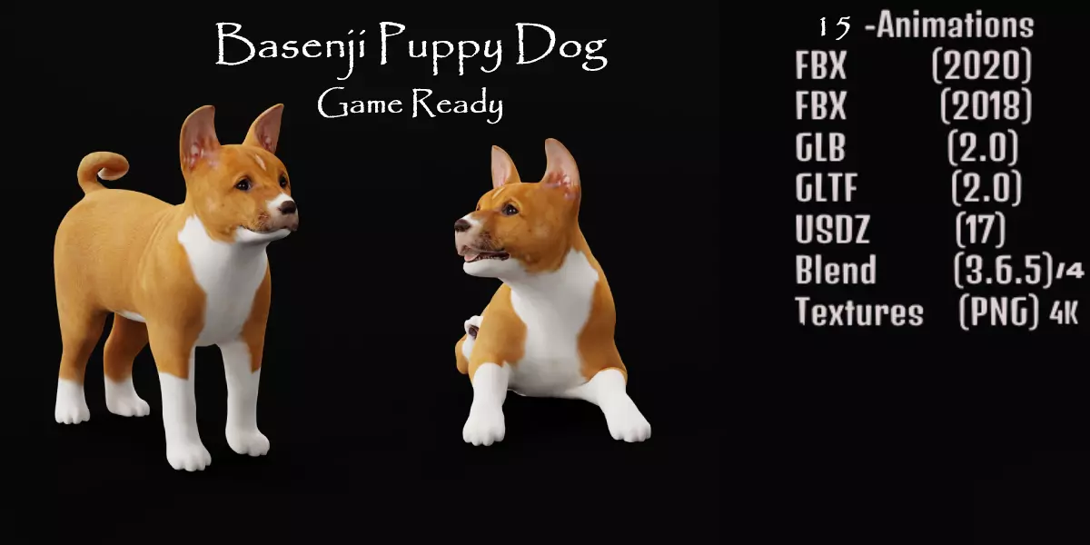 Basenji Puppy Dog Low-poly 3D model_0