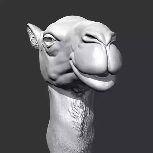 Camel Head AM32 3D print model 3D print model