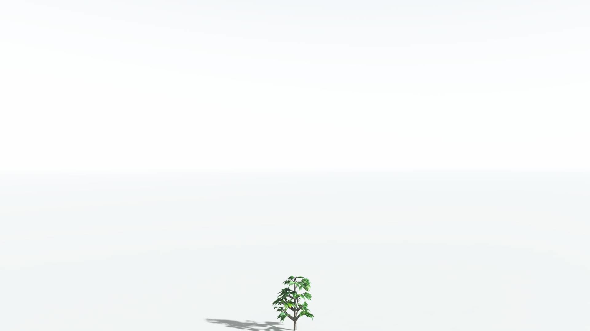 EVERYPlant Breadnut LowPoly 4 --12 Models-- Low-poly 3D model_20