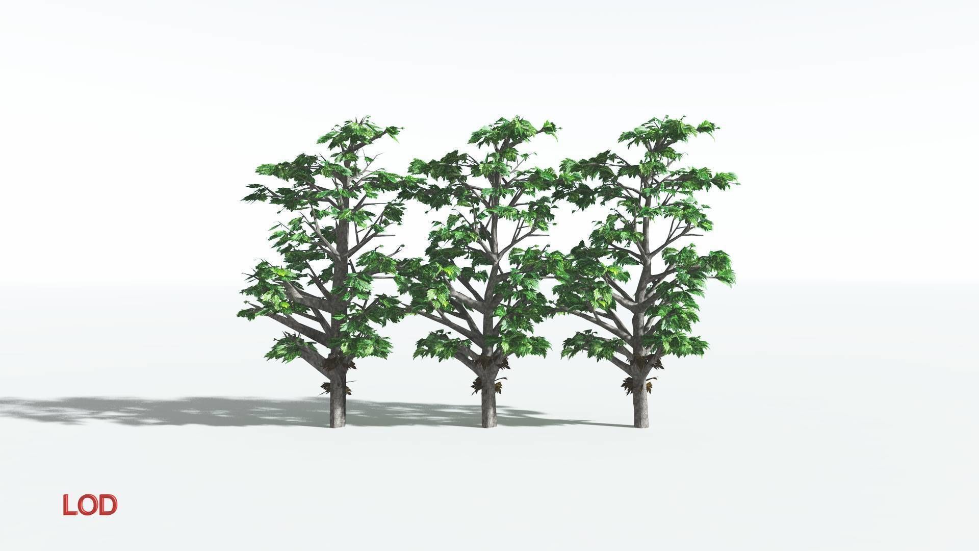 EVERYPlant Breadnut LowPoly 4 --12 Models-- Low-poly 3D model_3