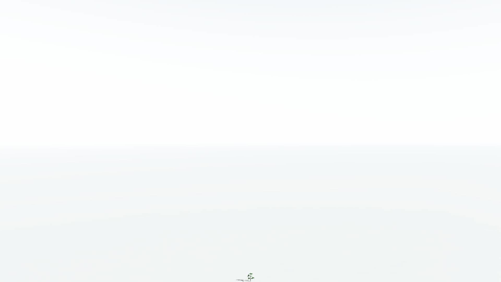 EVERYPlant Breadnut LowPoly 4 --12 Models-- Low-poly 3D model_22