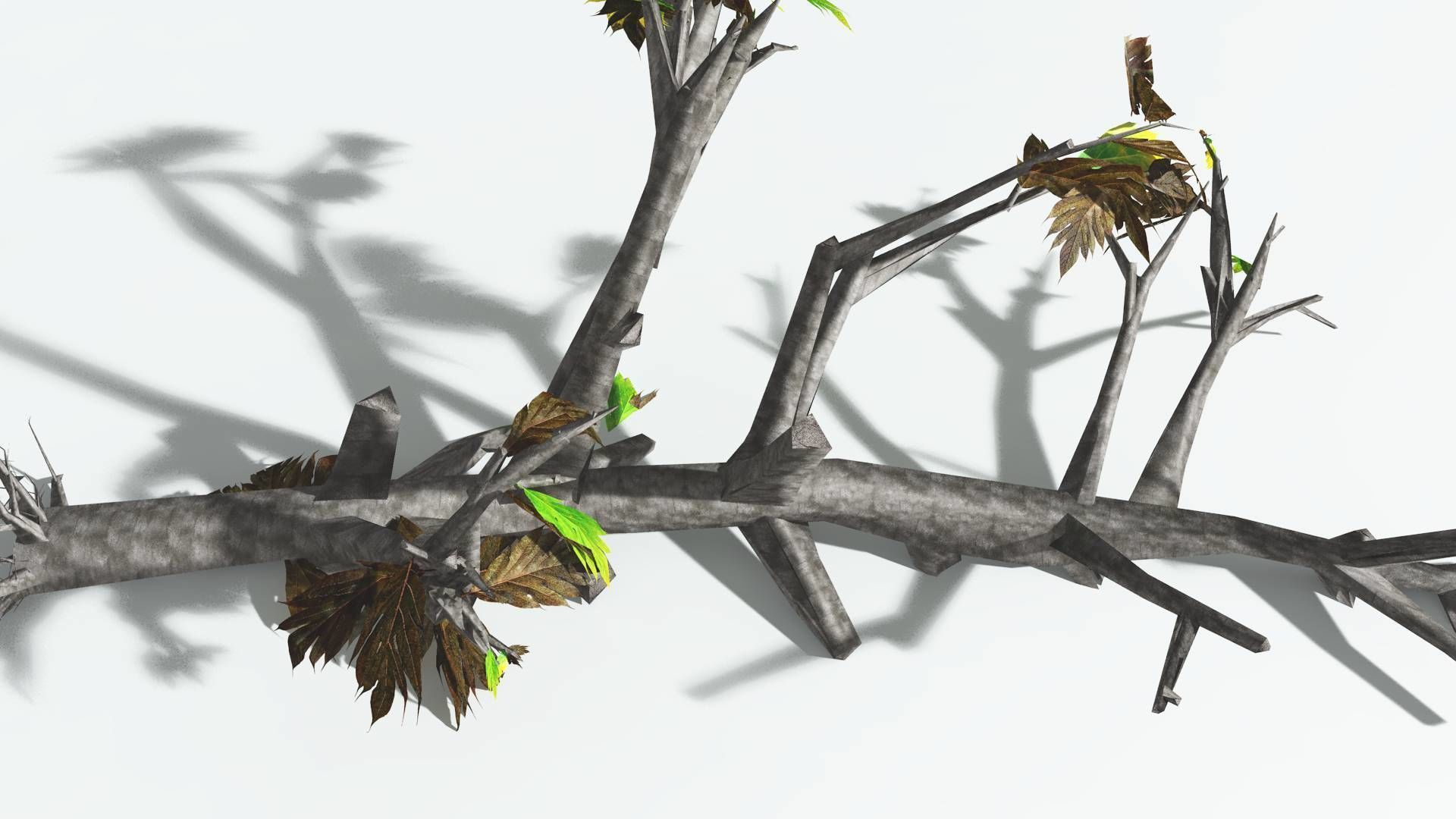 EVERYPlant Breadnut LowPoly 4 --12 Models-- Low-poly 3D model_15