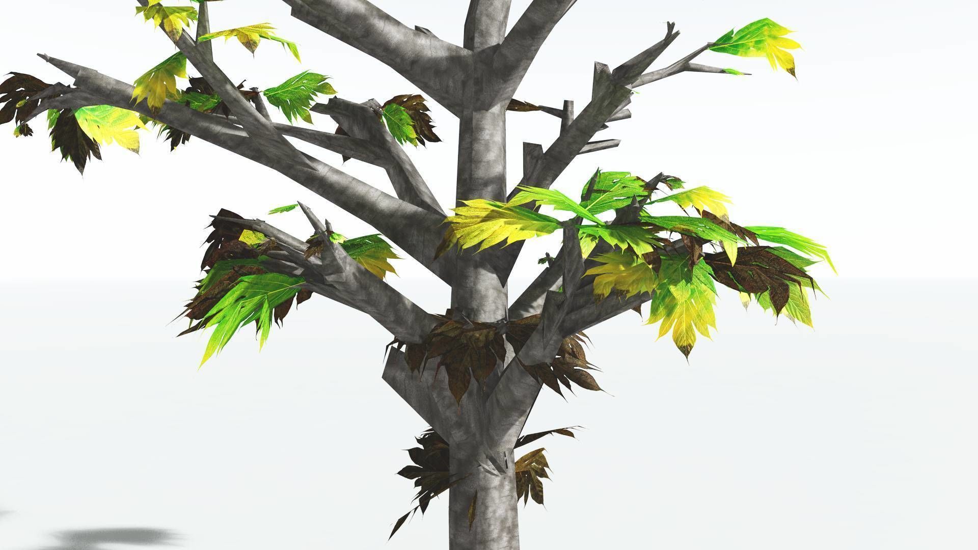 EVERYPlant Breadnut LowPoly 4 --12 Models-- Low-poly 3D model_11