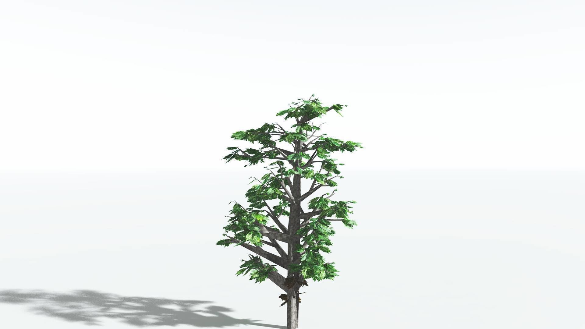 EVERYPlant Breadnut LowPoly 4 --12 Models-- Low-poly 3D model_24