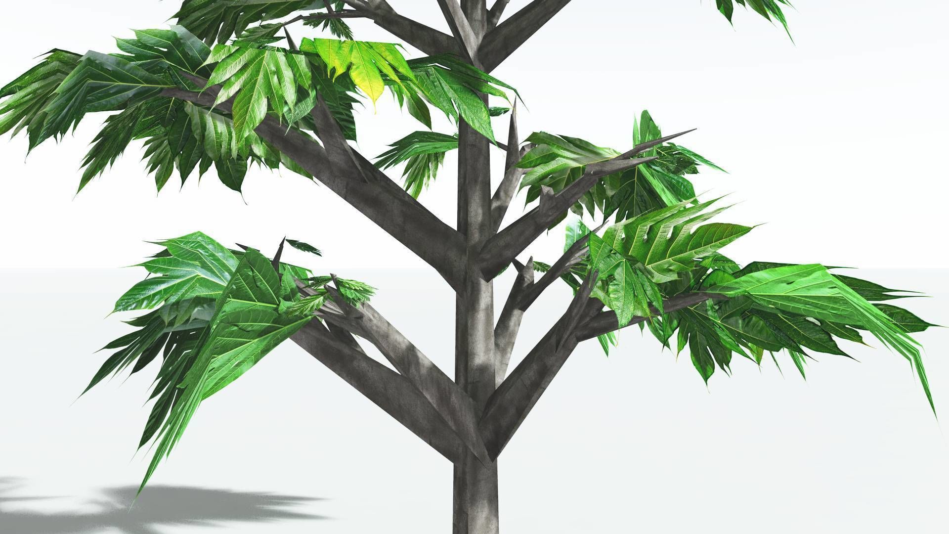 EVERYPlant Breadnut LowPoly 4 --12 Models-- Low-poly 3D model_21