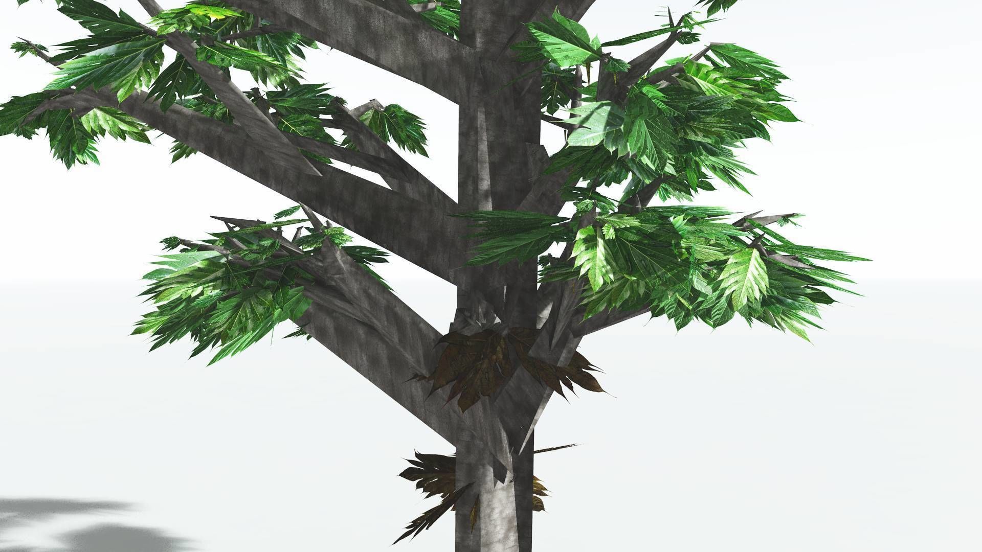 EVERYPlant Breadnut LowPoly 4 --12 Models-- Low-poly 3D model_25