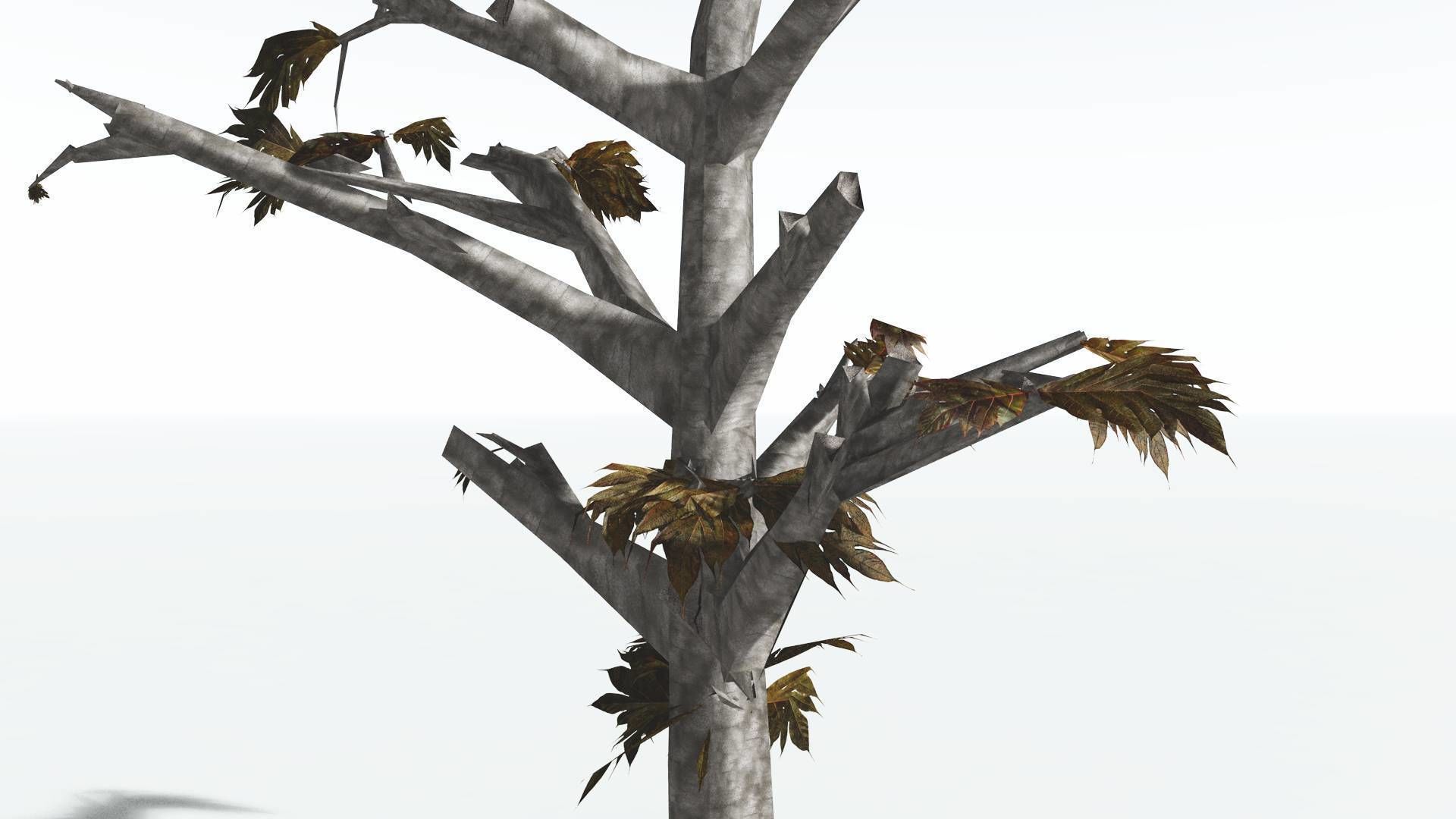 EVERYPlant Breadnut LowPoly 4 --12 Models-- Low-poly 3D model_13