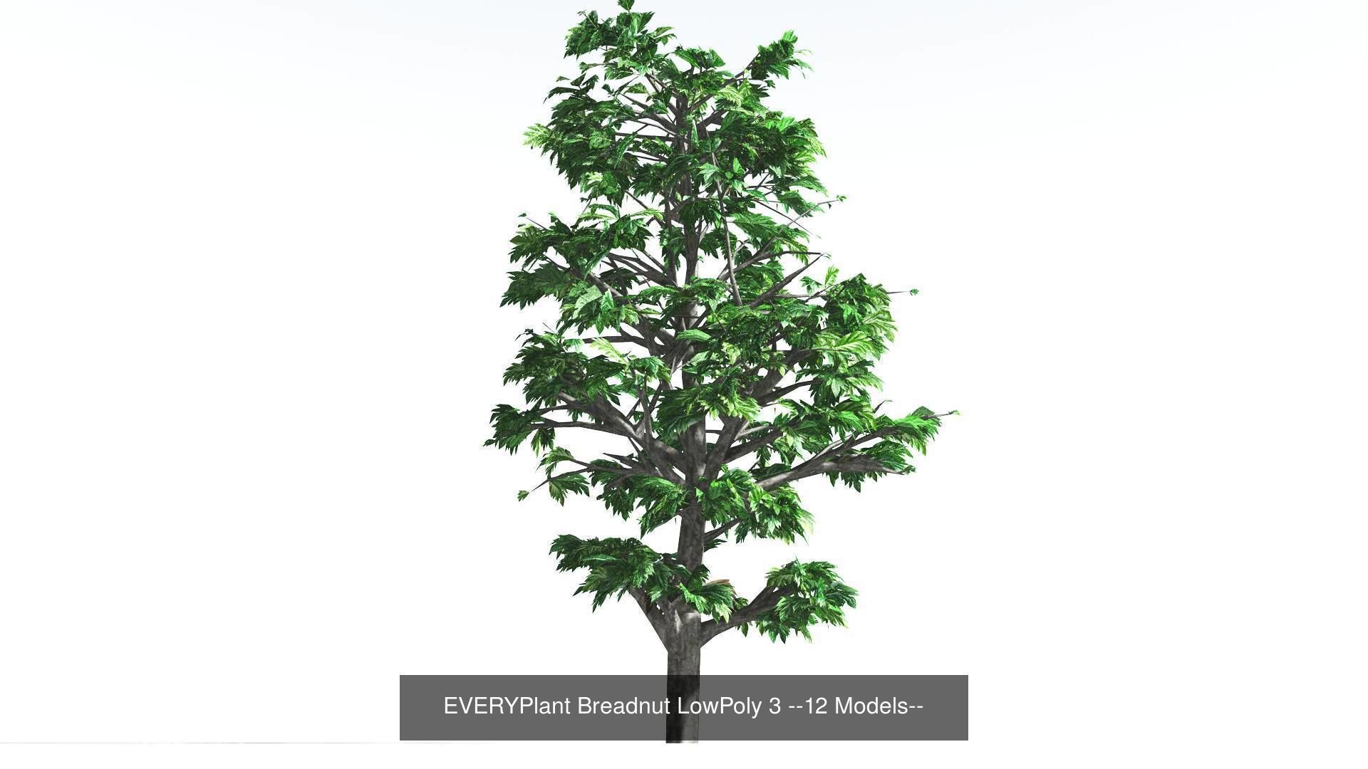 EVERYPlant Breadnut LowPoly Bundle --48 Models-- 3D Model Collection_3