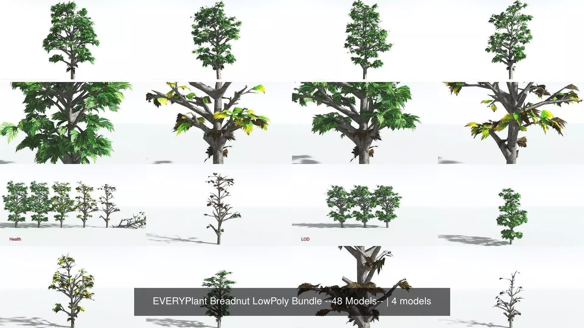 EVERYPlant Breadnut LowPoly Bundle --48 Models-- 3D Model Collection_0