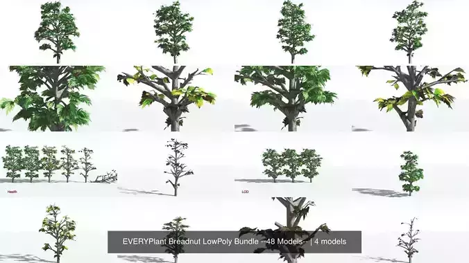 EVERYPlant Breadnut LowPoly Bundle --48 Models-- 3D Model Collection