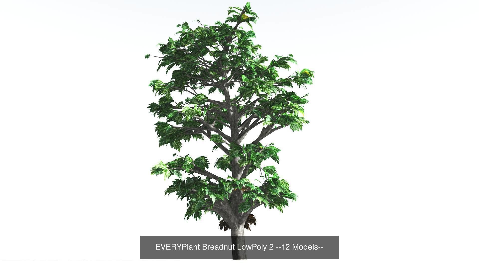 EVERYPlant Breadnut LowPoly Bundle --48 Models-- 3D Model Collection_2