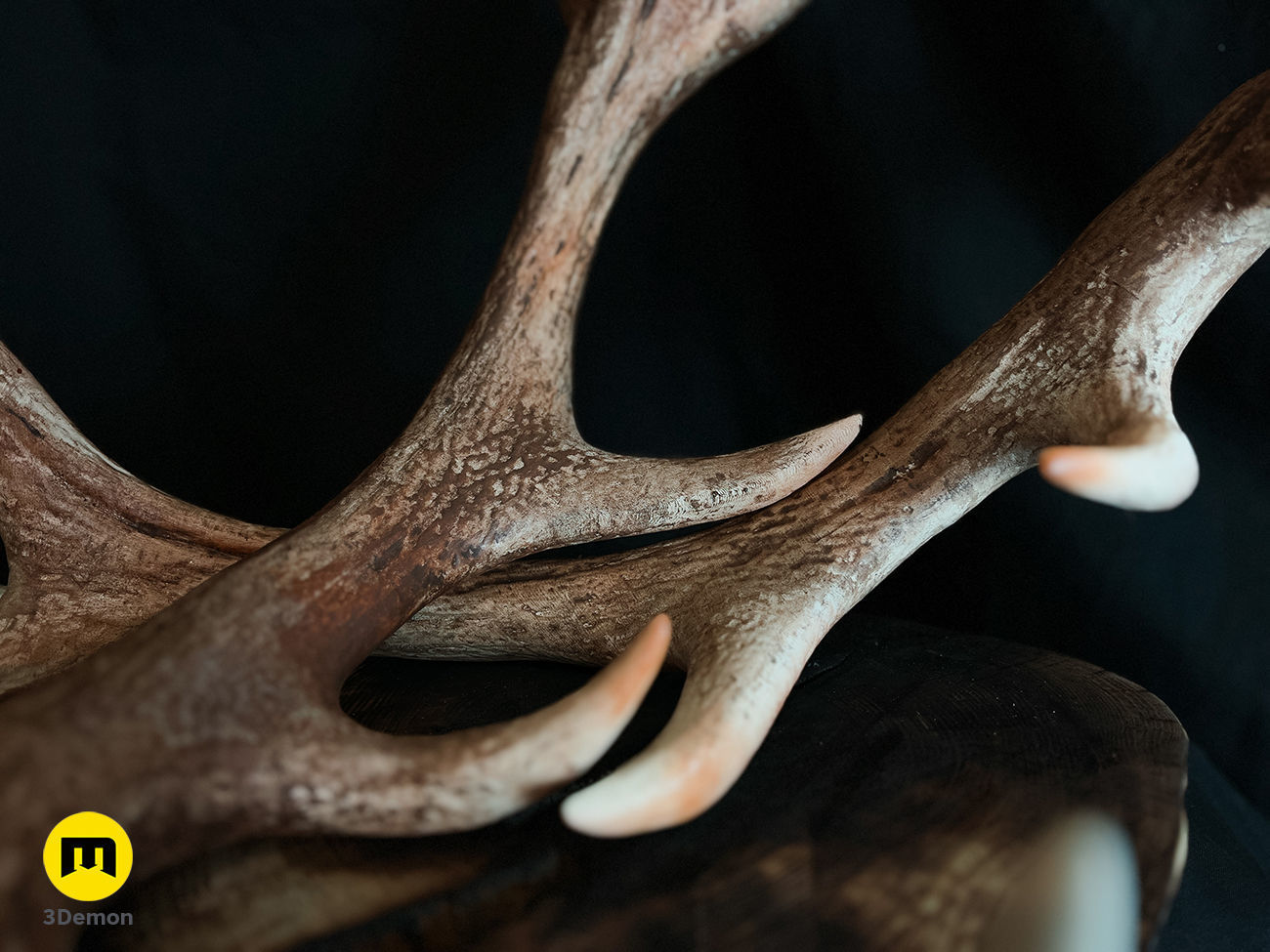Red Deer antlers 3D print model_7