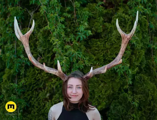 Red Deer antlers 3D print model