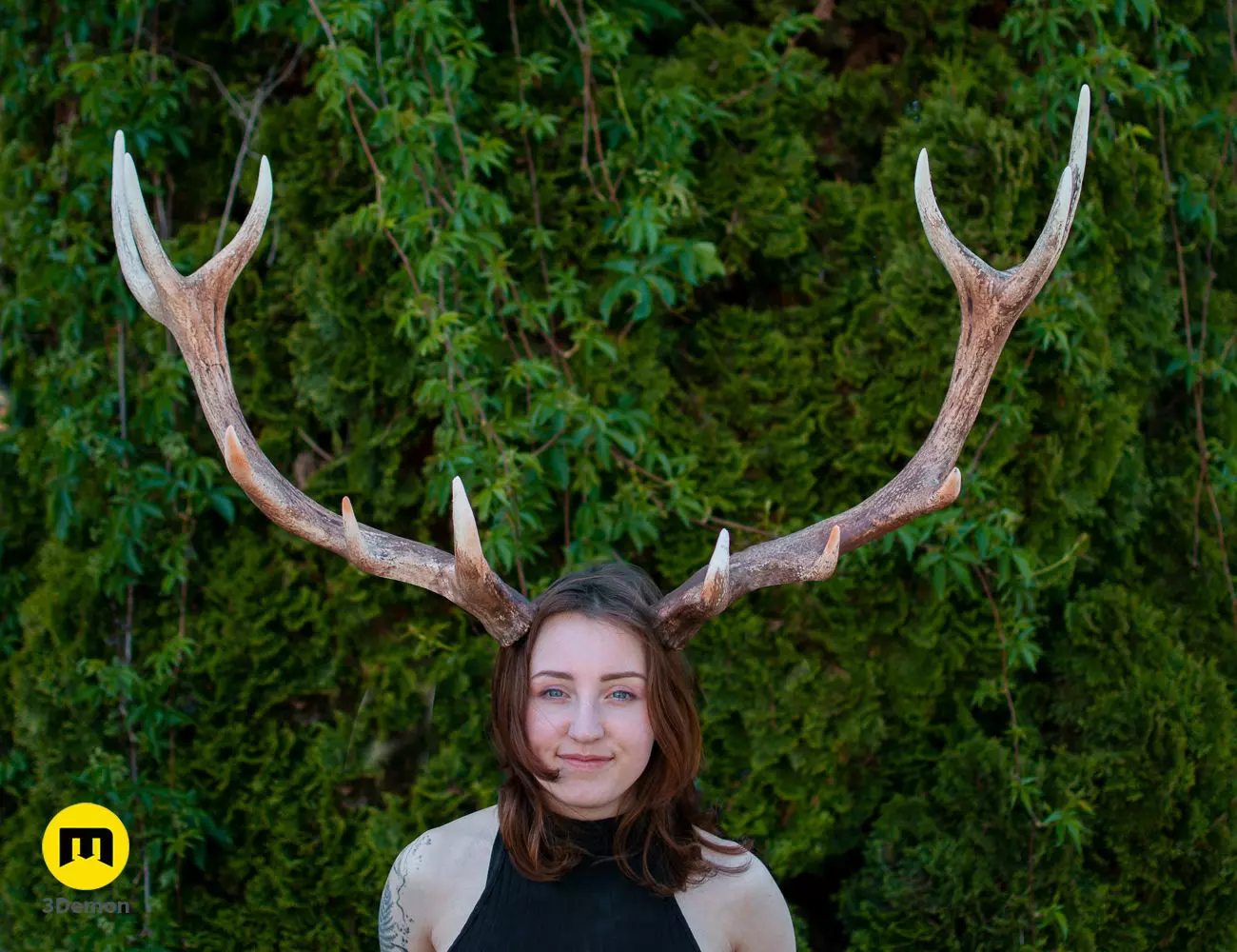 Red Deer antlers 3D print model_0