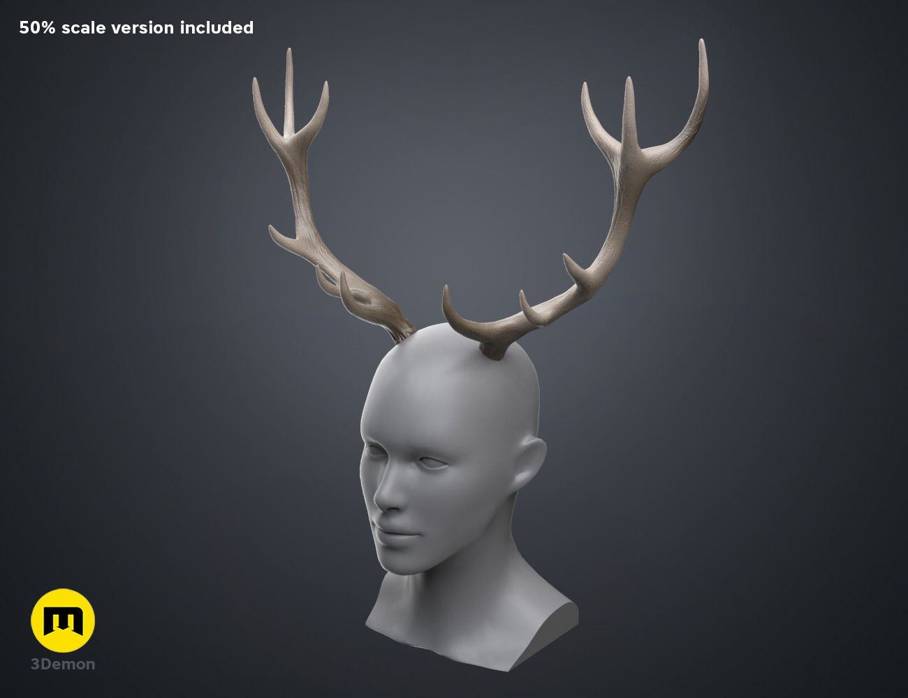 Red Deer antlers 3D print model_16