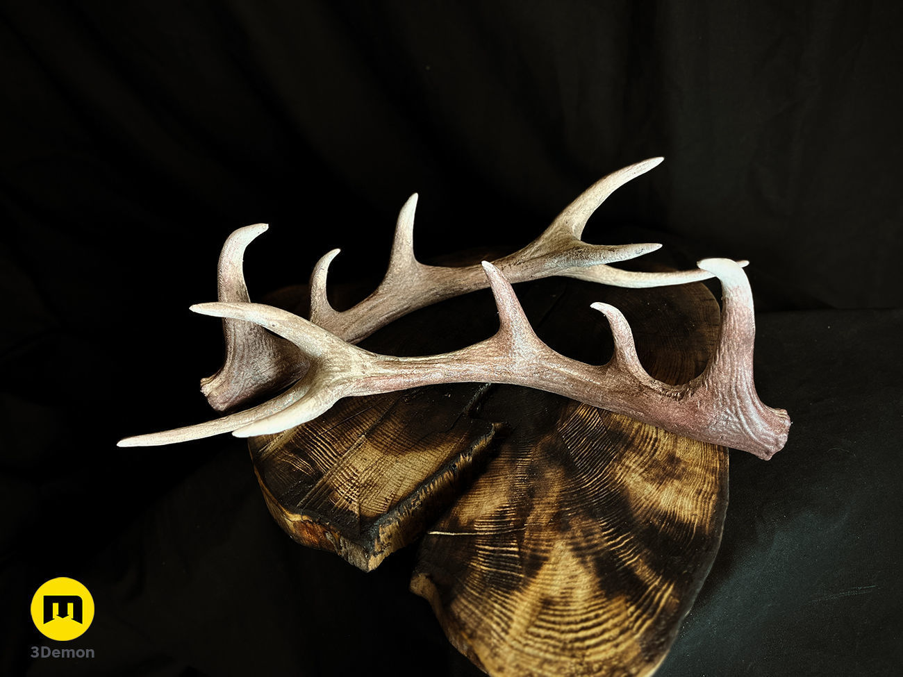 Red Deer antlers 3D print model_4