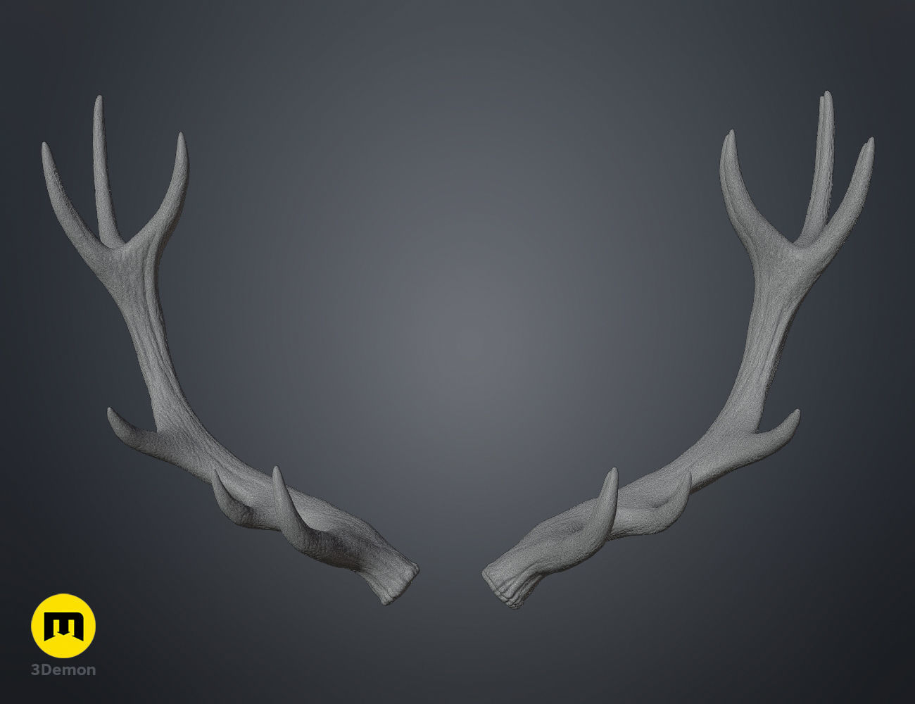 Red Deer antlers 3D print model_28