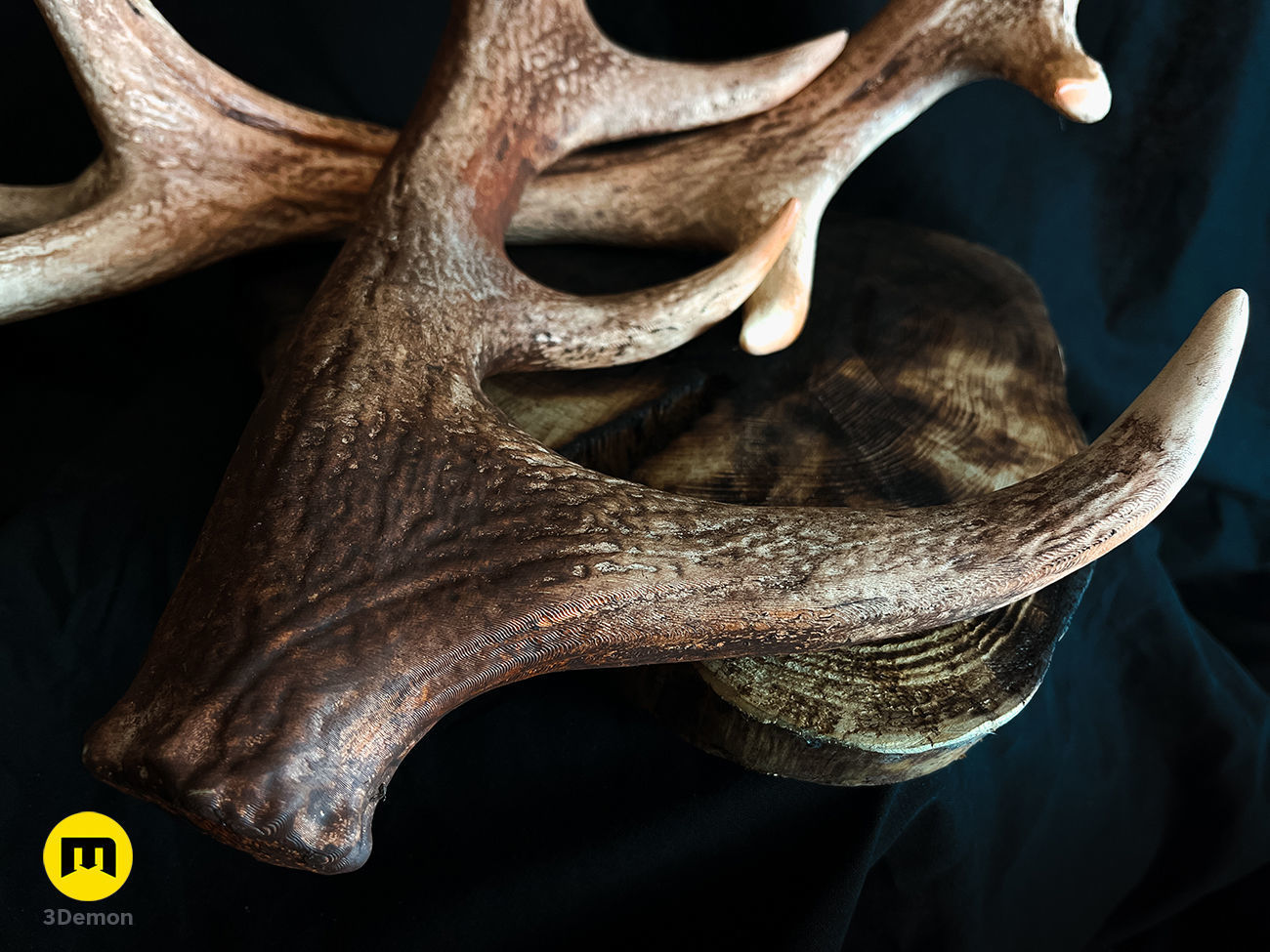 Red Deer antlers 3D print model_8