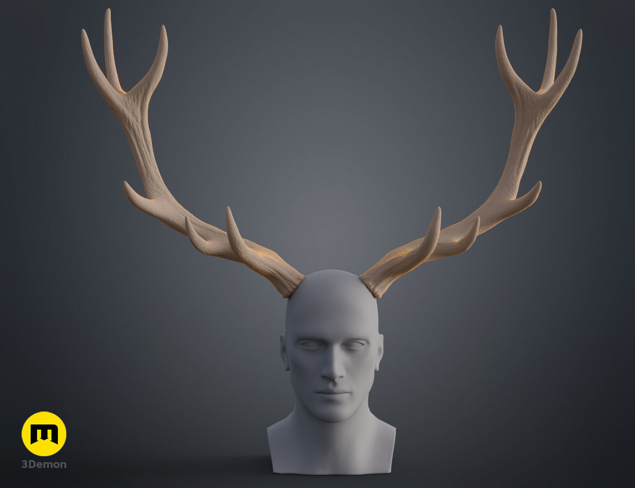 Red Deer antlers 3D print model_20