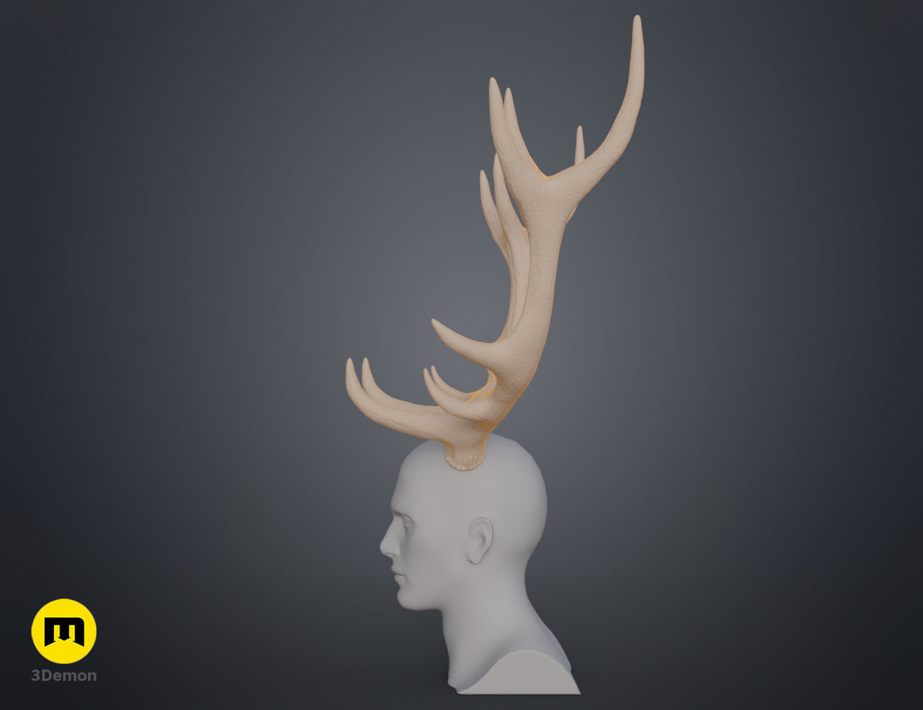 Red Deer antlers 3D print model_15
