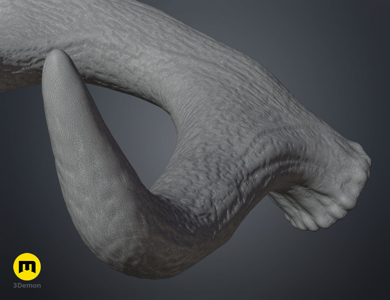 Red Deer antlers 3D print model_29