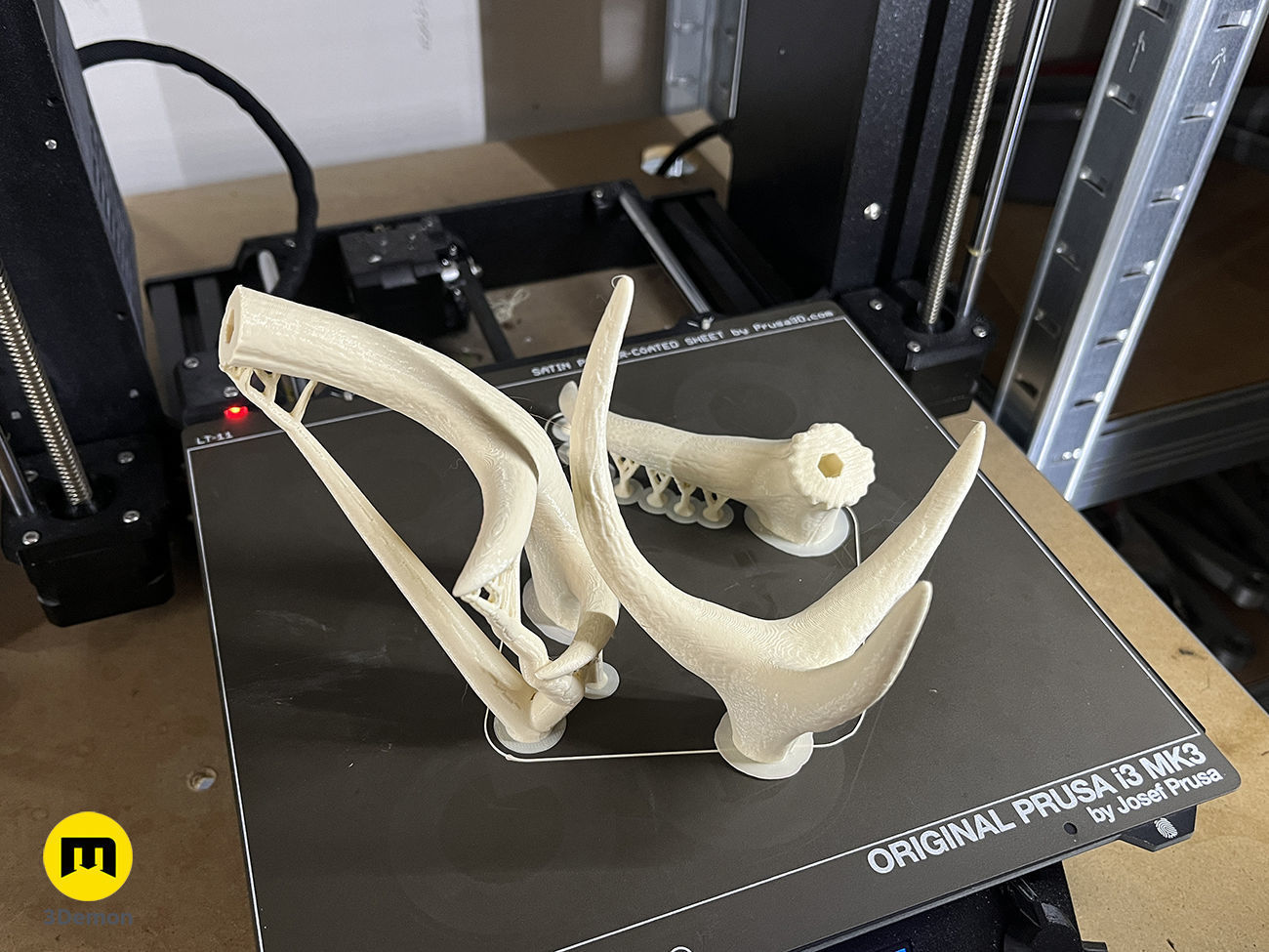 Red Deer antlers 3D print model_9