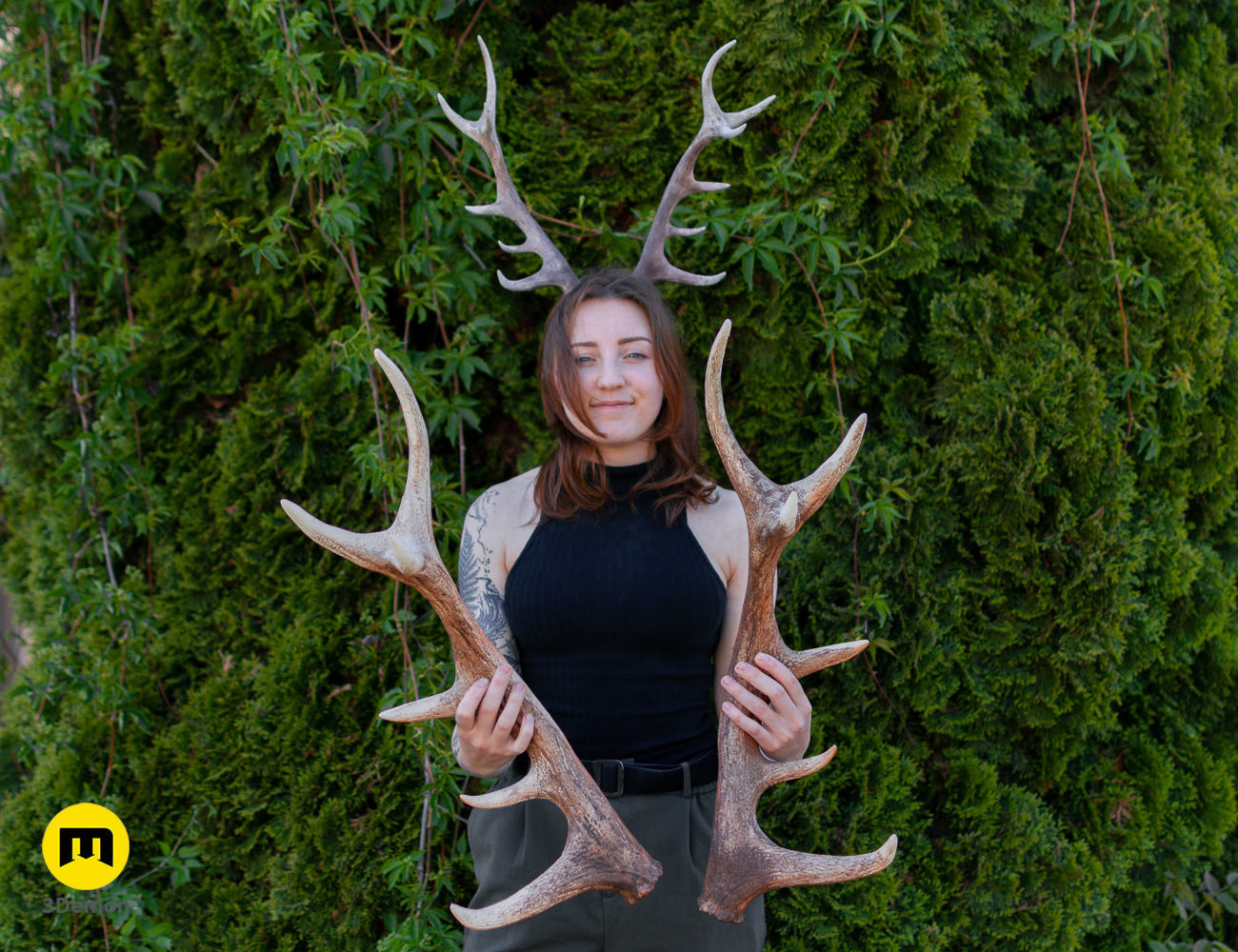 Red Deer antlers 3D print model_1