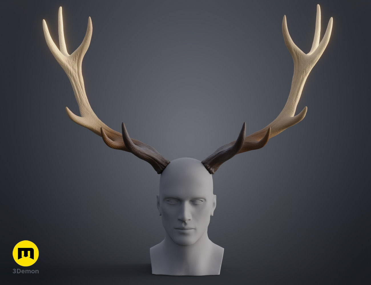 Red Deer antlers 3D print model_22