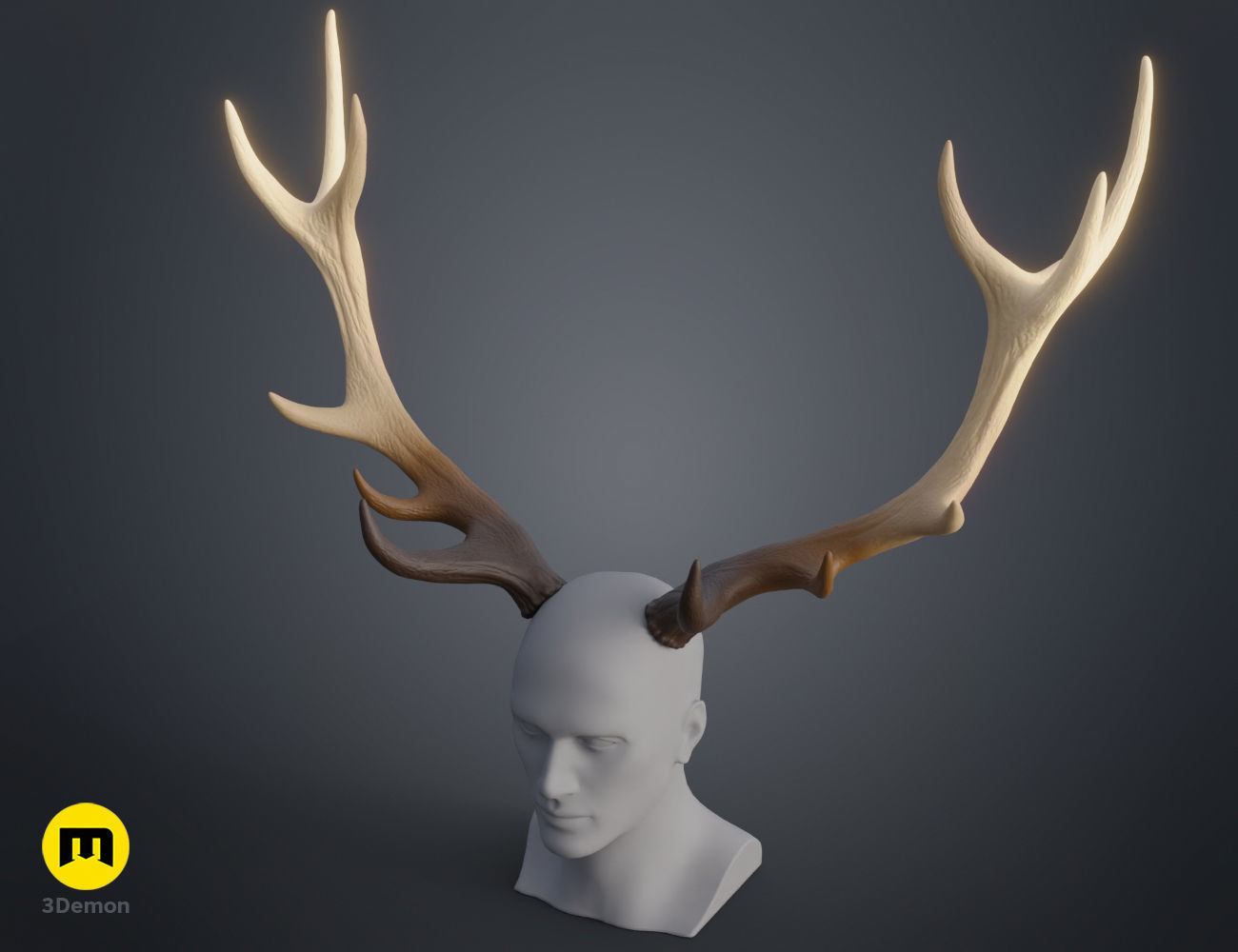Red Deer antlers 3D print model_19