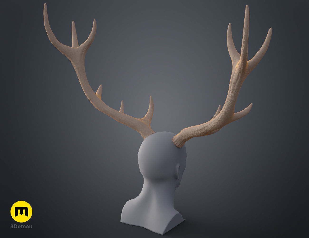Red Deer antlers 3D print model_14