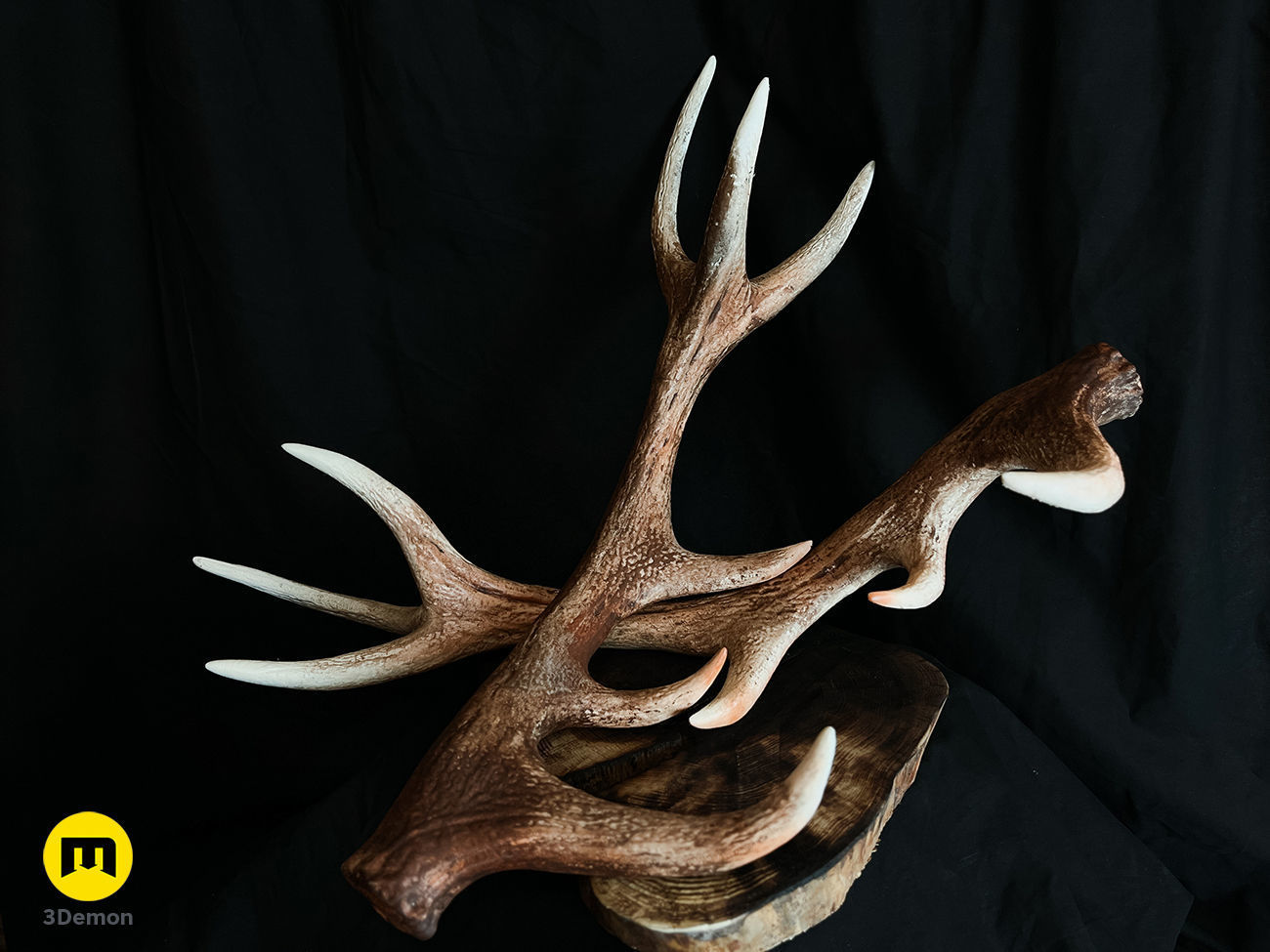 Red Deer antlers 3D print model_10